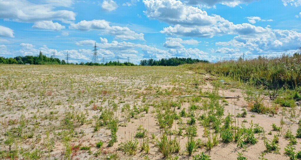 земля р-н Ярославский п Дубки ул Огородная фото 8