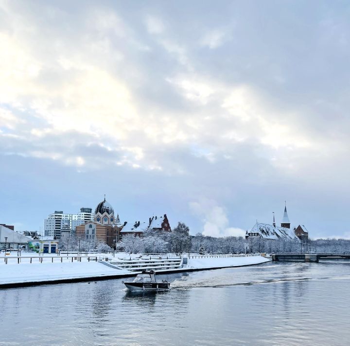 квартира г Калининград р-н Московский пр-кт Ленинский 34а фото 20