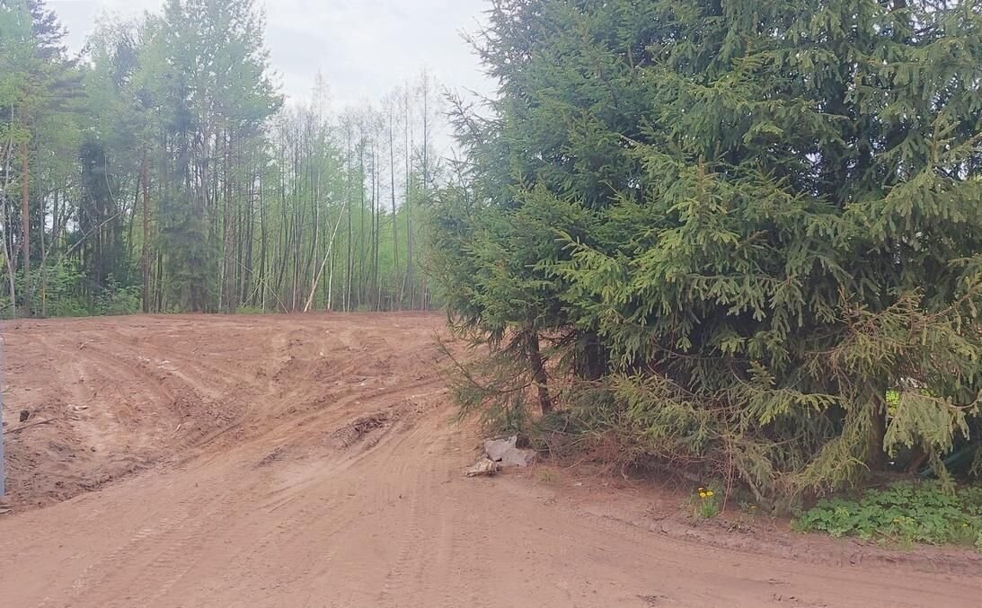 земля направление Горьковское (восток) ш Горьковское 9 км, Кучинский лесопарк, Балашиха фото 7