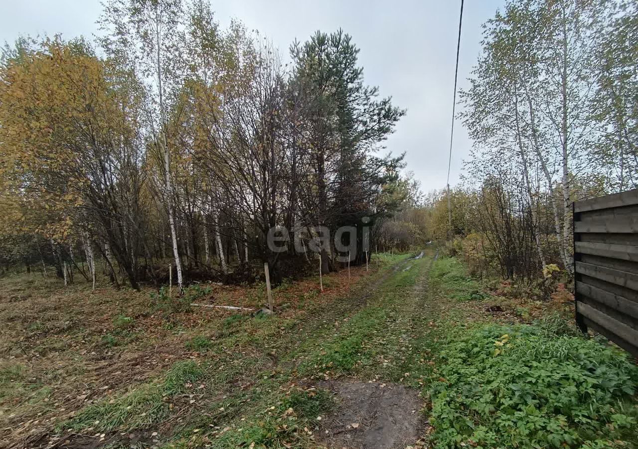 земля г Тобольск садоводческое товарищество Вымпел фото 25