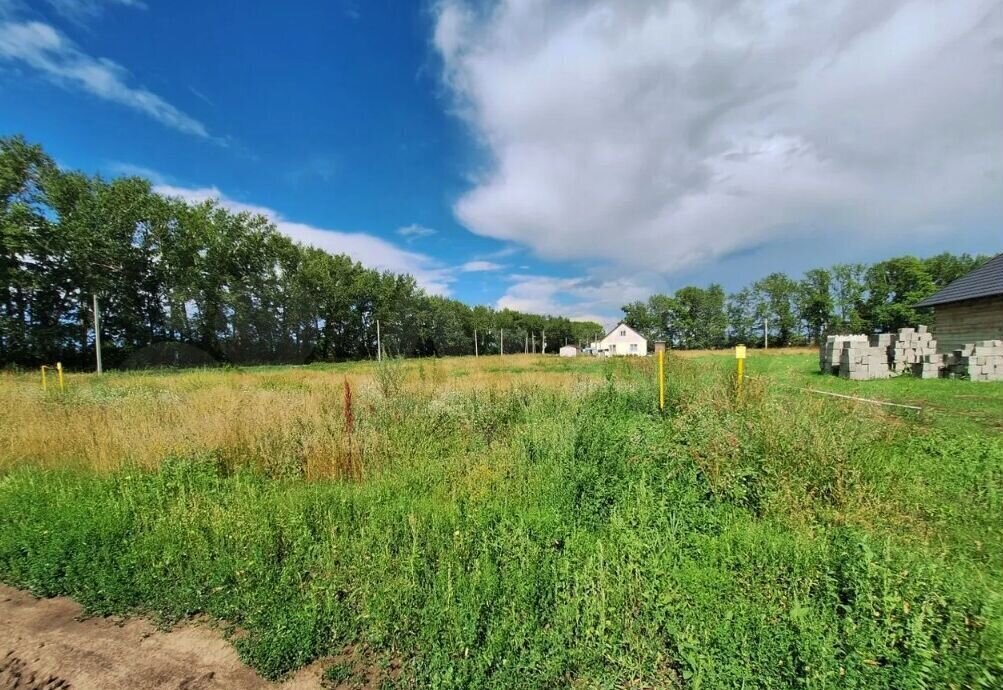 земля городской округ Ленинский д Калиновка 9731 км, Видное, Новокаширское шоссе фото 1