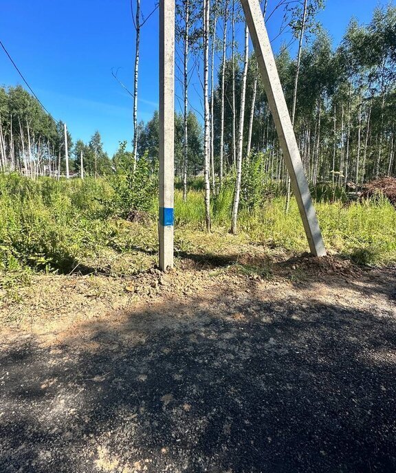 земля городской округ Дмитровский коттеджный посёлок Капорки, Лобня фото 12