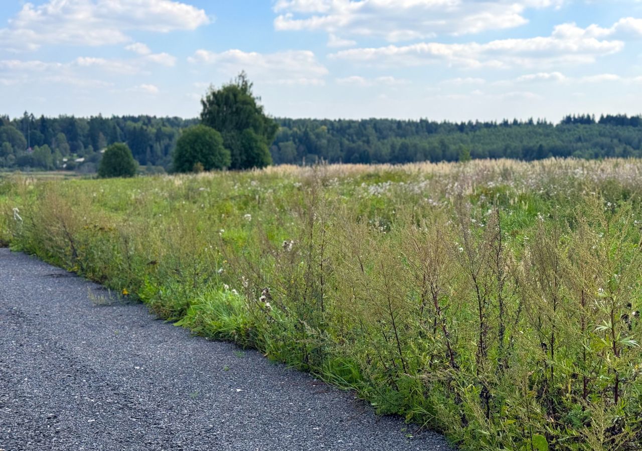 земля городской округ Дмитровский рп Икша 33 км, коттеджный пос. Медведки, 557, Рогачёвское шоссе фото 14