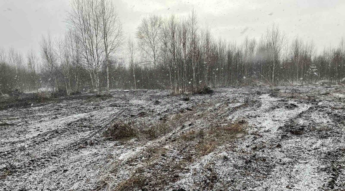 земля р-н Всеволожский снт Здоровье-1 Виллозское городское поселение, Ленинский проспект, 6, Ломоносовский район фото 20