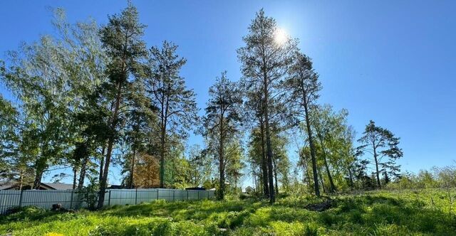 земля п Полеводство Ботаническая муниципальное образование фото