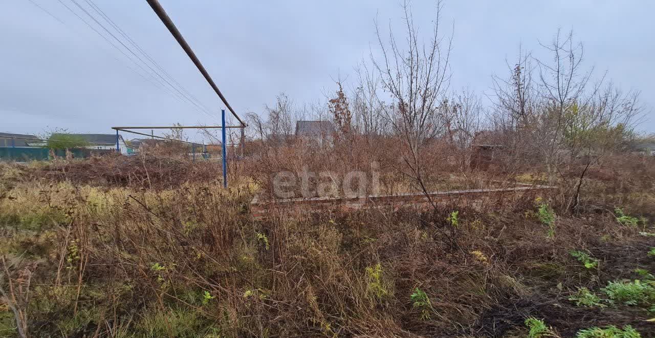 земля р-н Волоконовский п Пятницкое пр-кт Маресевой городское поселение посёлок Пятницкое фото 5