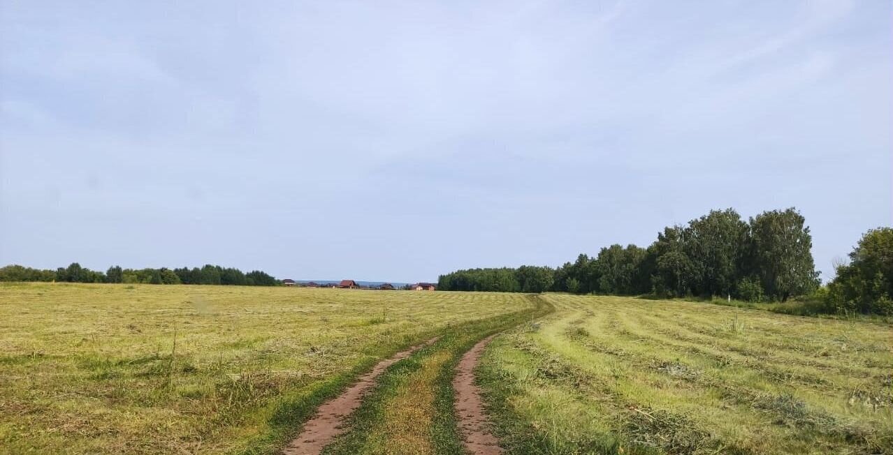 земля р-н Лаишевский д Тангачи Республика Татарстан Татарстан, Рождественское сельское поселение, Лаишево фото 1