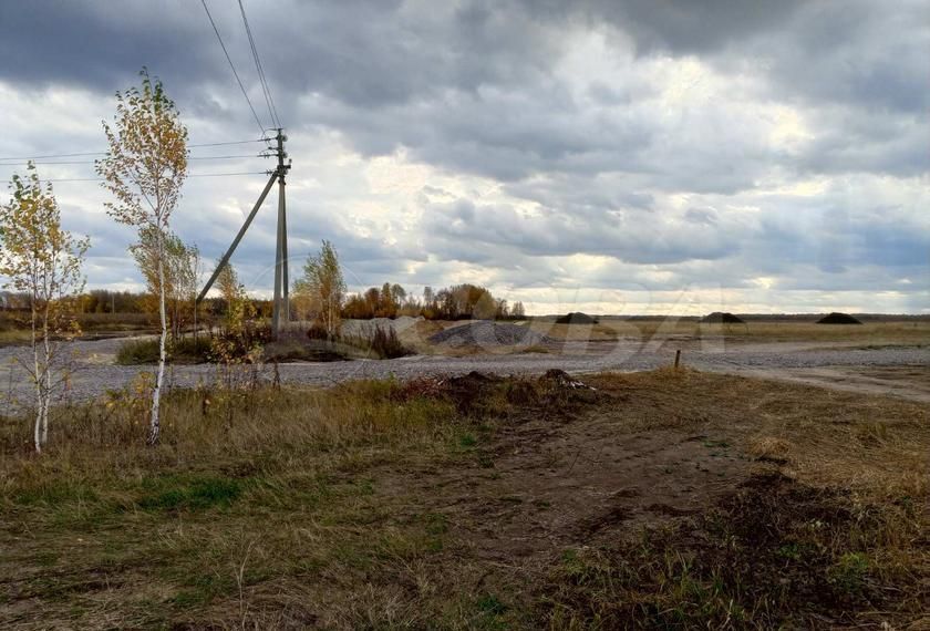 земля р-н Тюменский рп Винзили фото 1