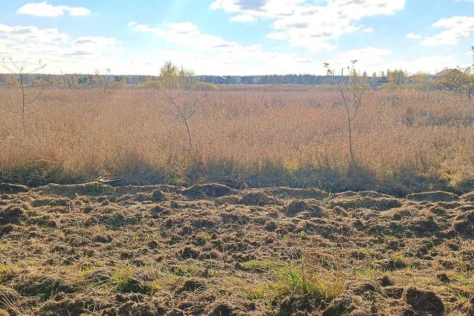 земля городской округ Егорьевск д. Яковлево фото 9