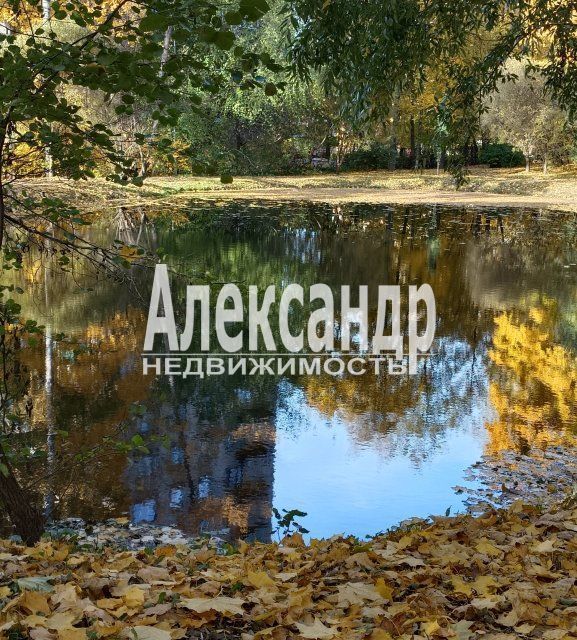 квартира г Санкт-Петербург пр-кт Тореза 94/3 Выборгский фото 3