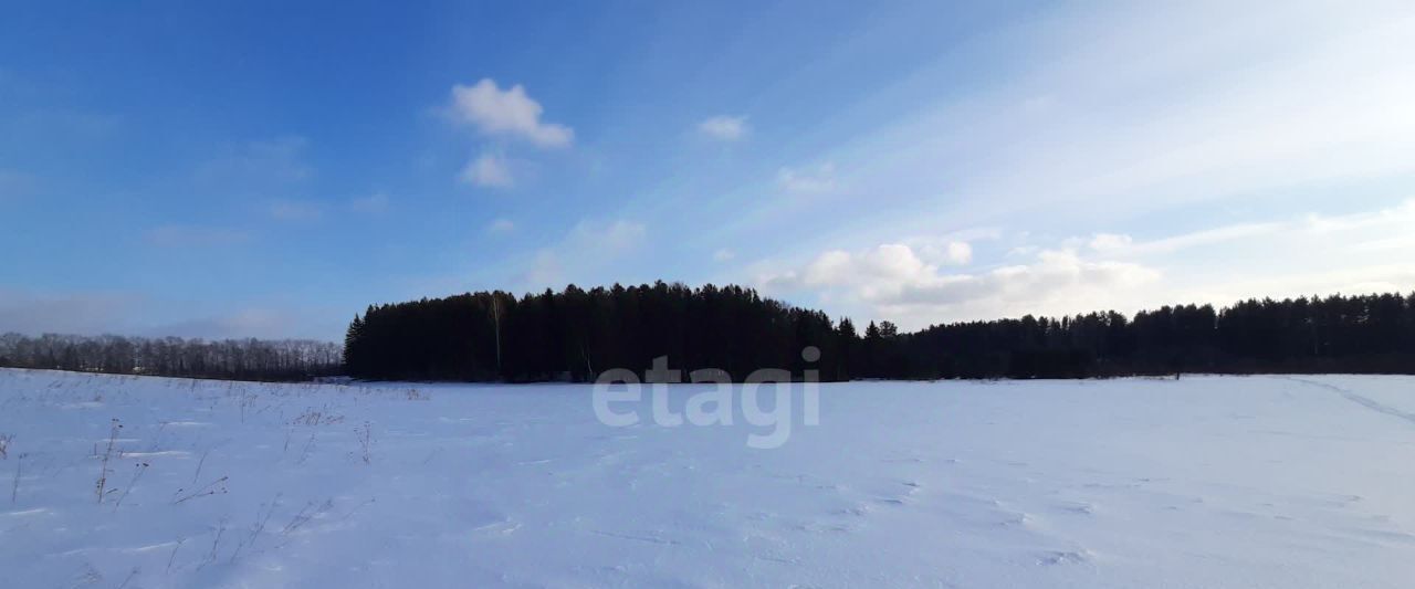 земля г Нижний Тагил с Елизаветинское фото 6