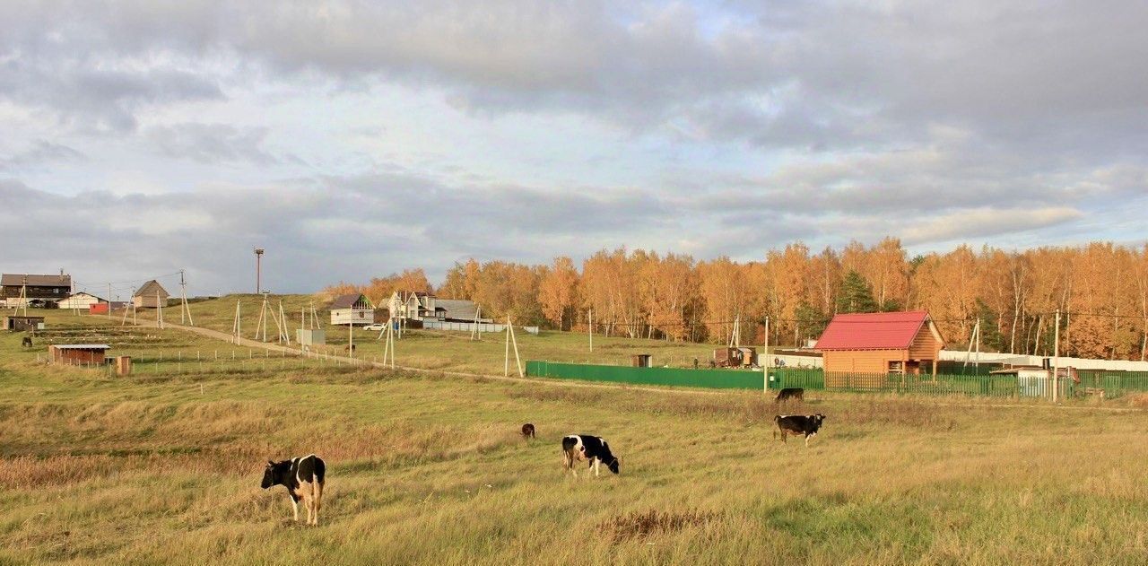 земля городской округ Дмитровский д Дубровки 72С фото 3