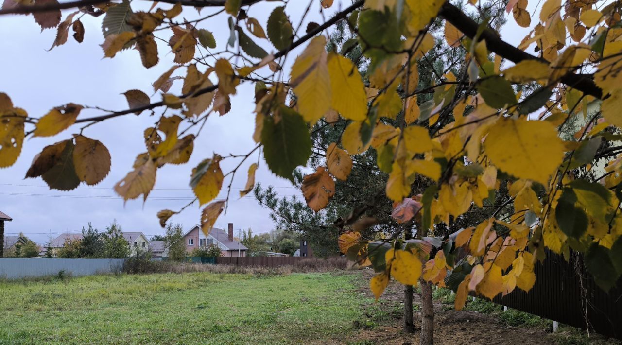 земля городской округ Раменский Лесная Поляна-1 кп, ул. Дачная фото 6