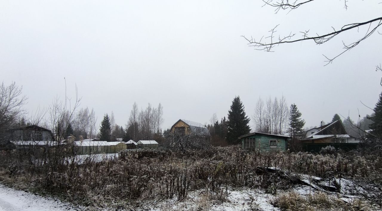 земля р-н Всеволожский массив Белоостров снт Заря-4 Сертоловское городское поселение, луч 7-й, 207 фото 7