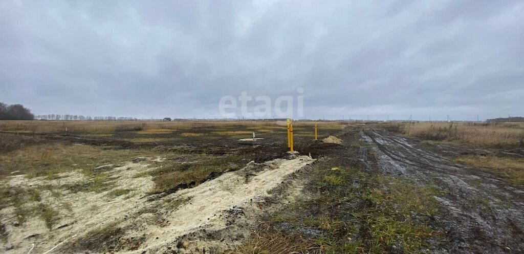 земля р-н Тамбовский п совхоза "Комсомолец" коттеджный посёлок Комсомолец фото 2