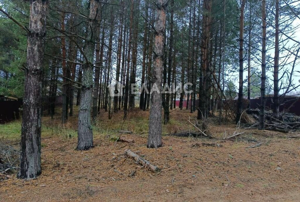 земля р-н Сокольский д Рябинки Лесная улица, городской округ Бор фото 4