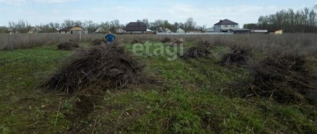 земля р-н Энгельсский п Новопушкинское фото