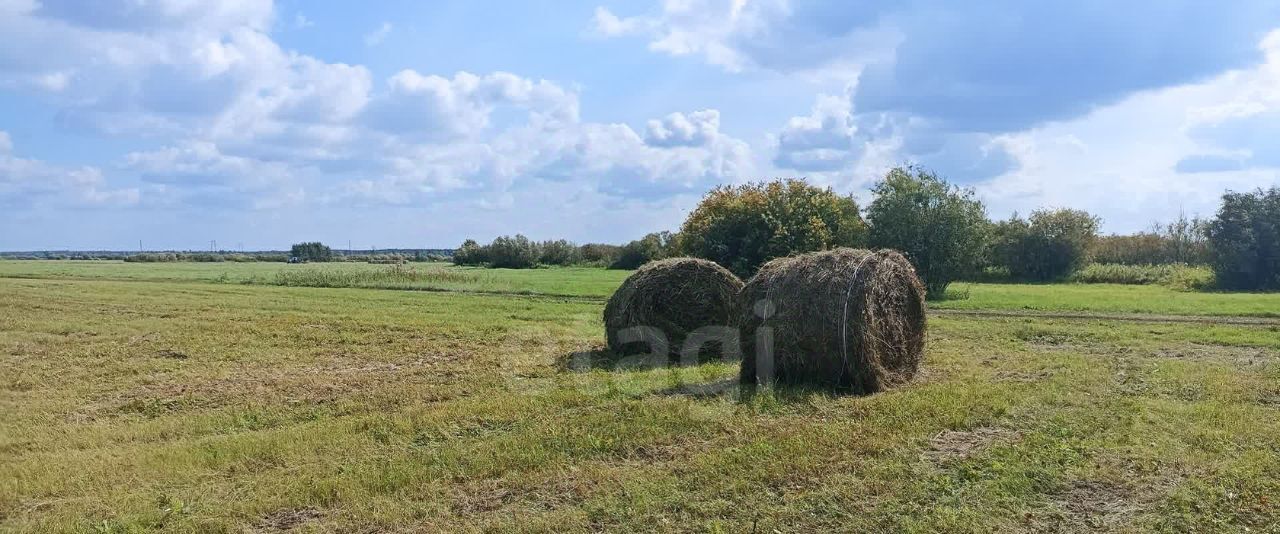 земля р-н Тюменский д Якуши фото 1