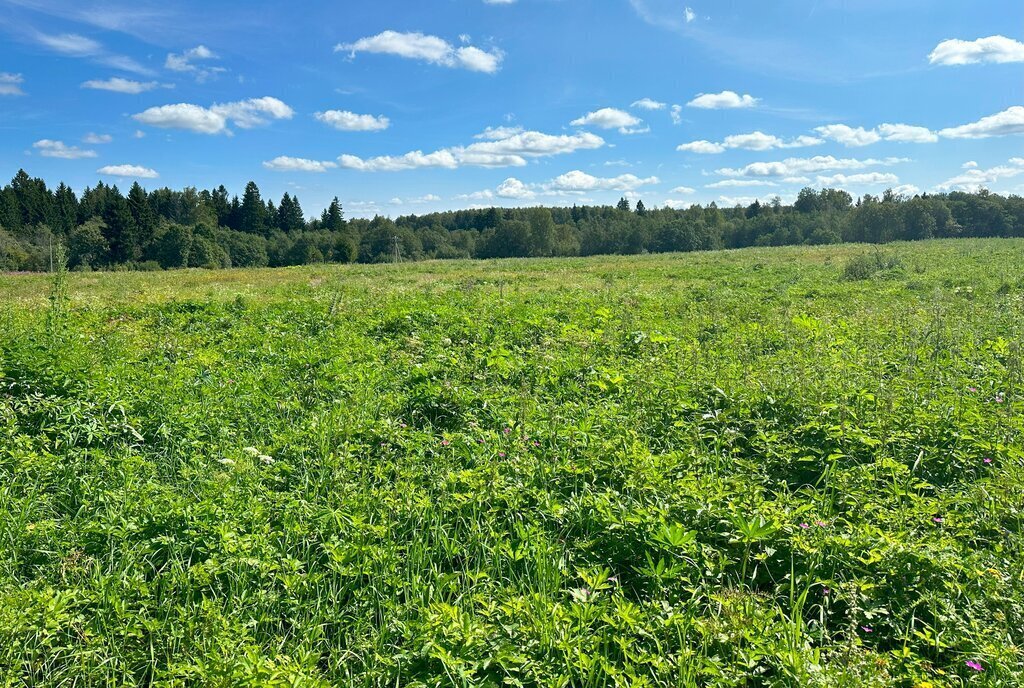 земля городской округ Клин д Вертково фото 23