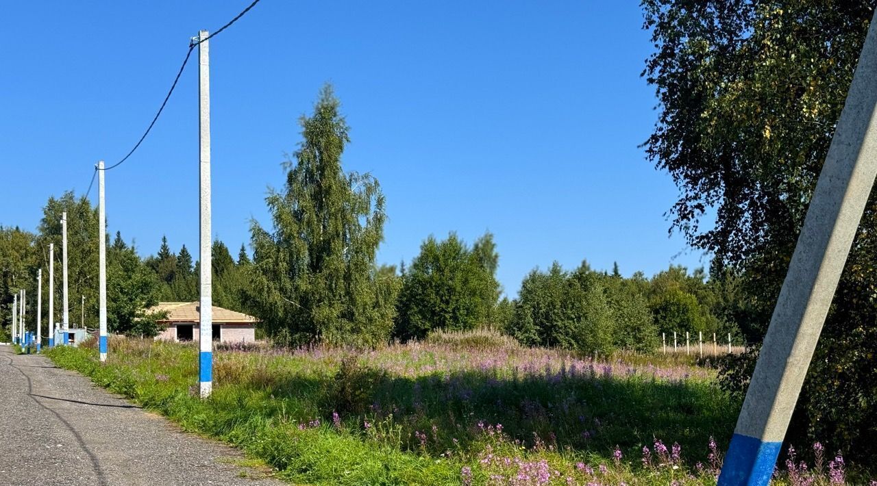 земля городской округ Дмитровский д Ассаурово фото 3