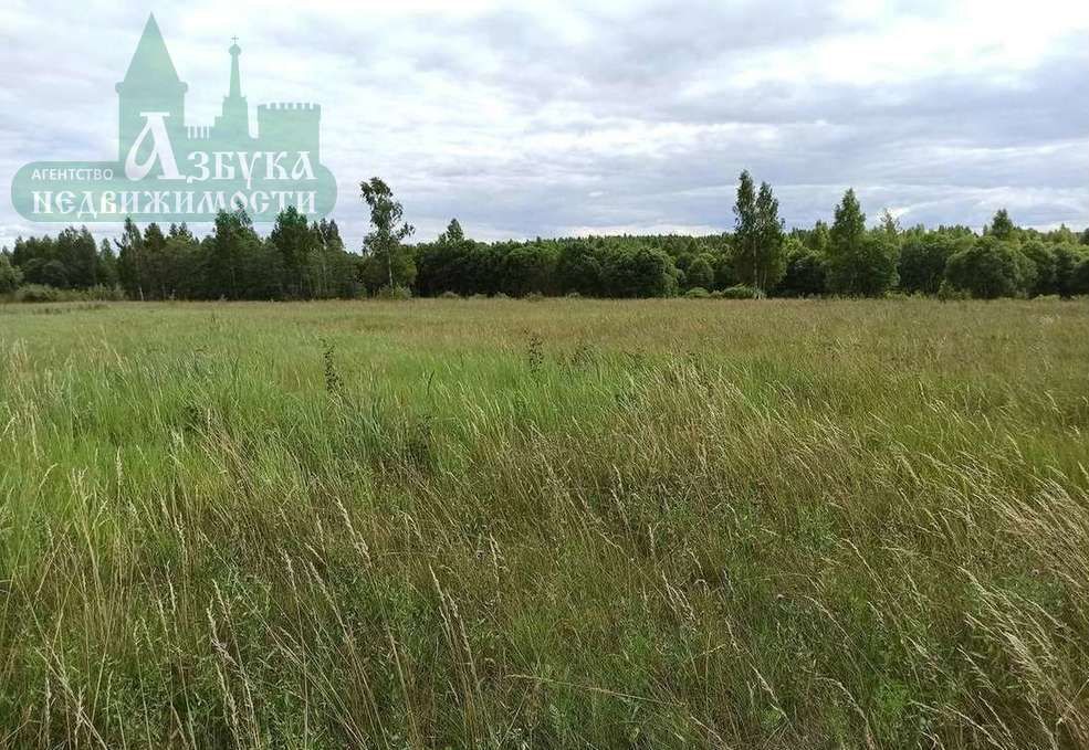 земля р-н Смоленский д Ромы Гнёздовское сельское поселение, Смоленск фото 1