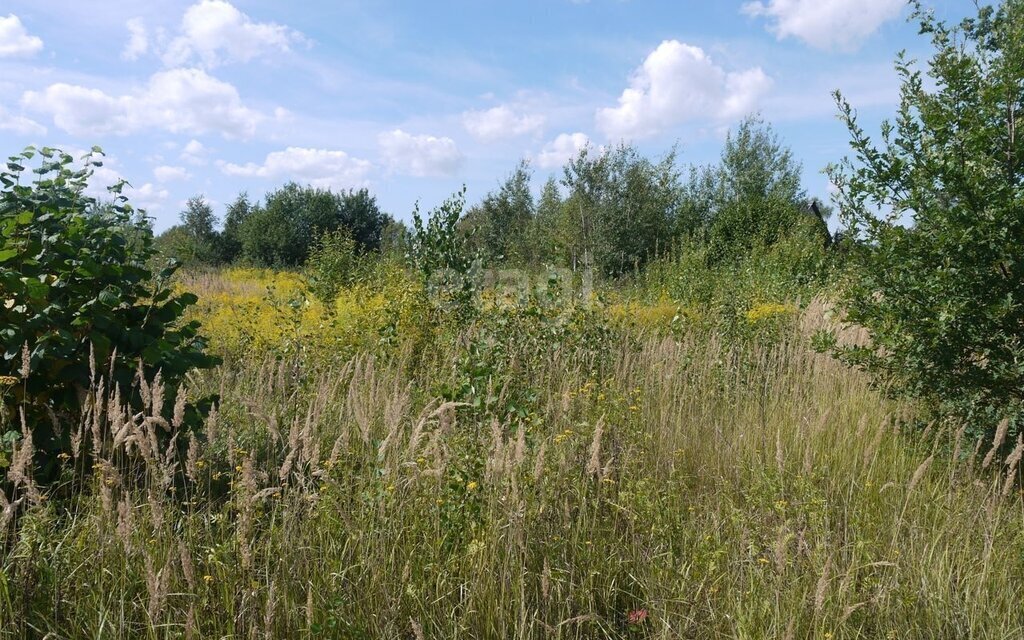 земля р-н Выгоничский с Палужье ул Дорожная фото 4