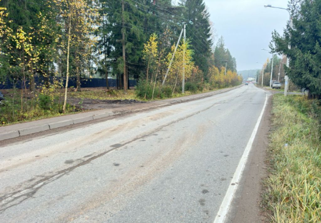 земля городской округ Наро-Фоминский д Селятино 34 км, Киевское шоссе фото 7