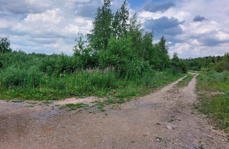 земля р-н Тосненский г Никольское Рыбацкое фото 1