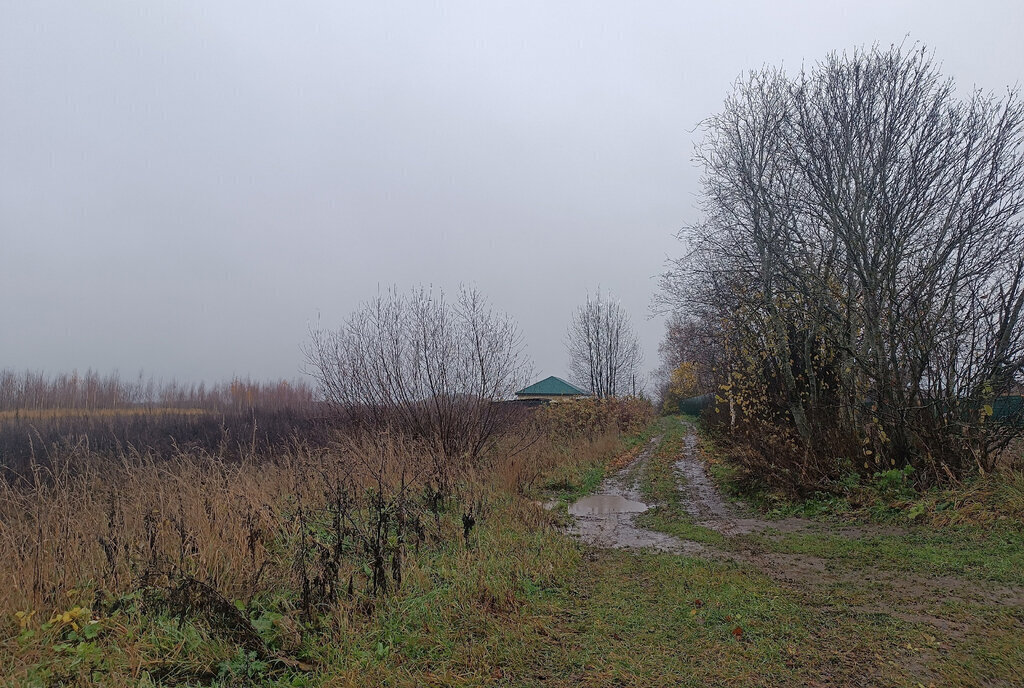 земля р-н Новгородский д Завал Борковское сельское поселение фото 1