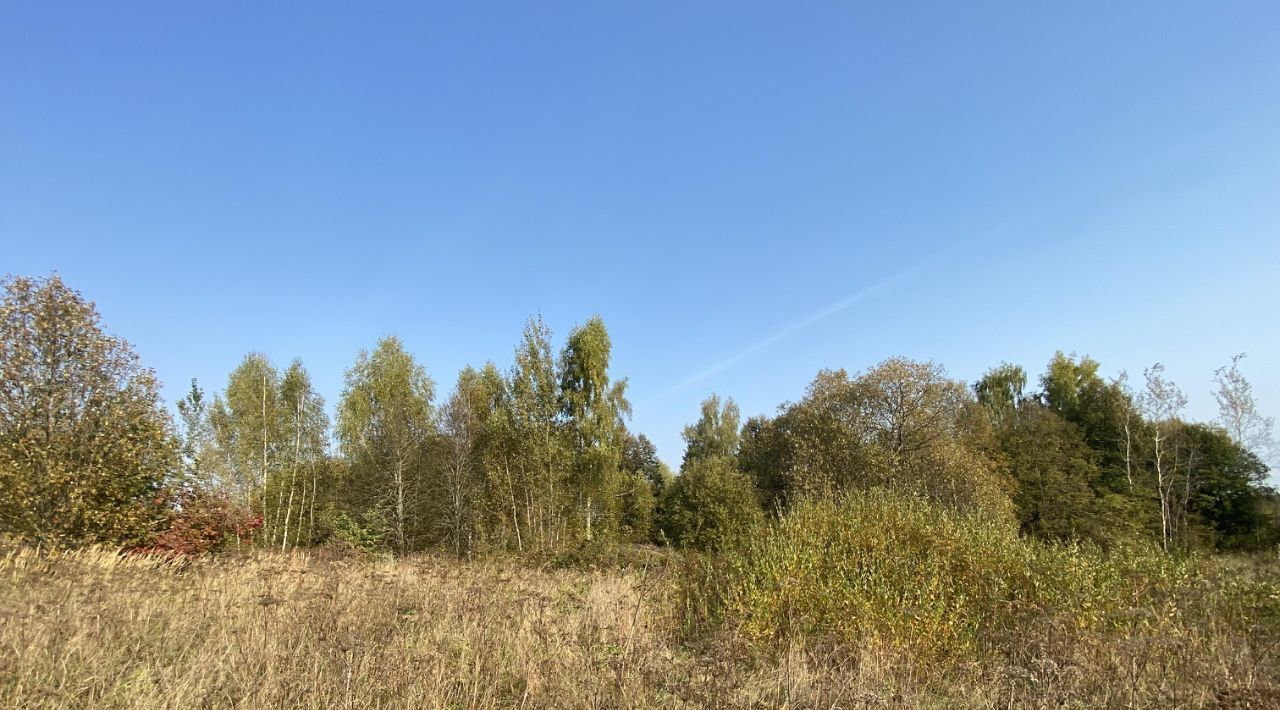 офис городской округ Истра д Никитское фото 1