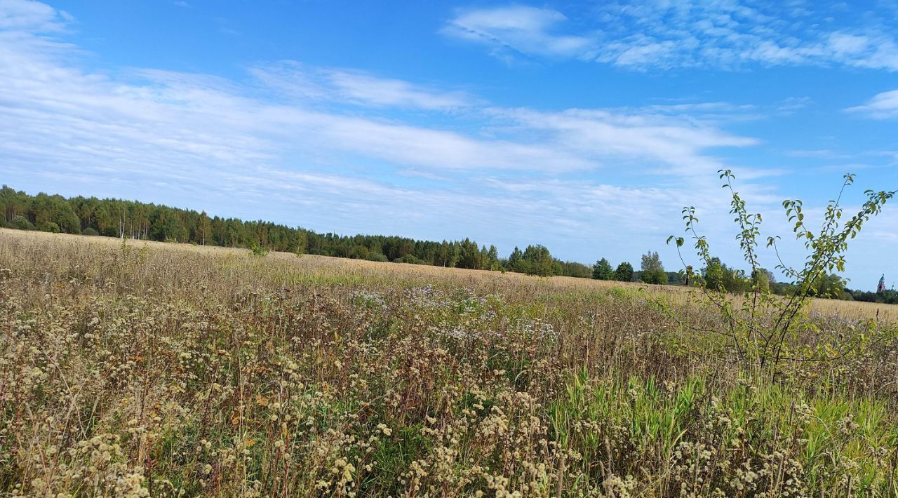 офис городской округ Раменский д Володино фото 1