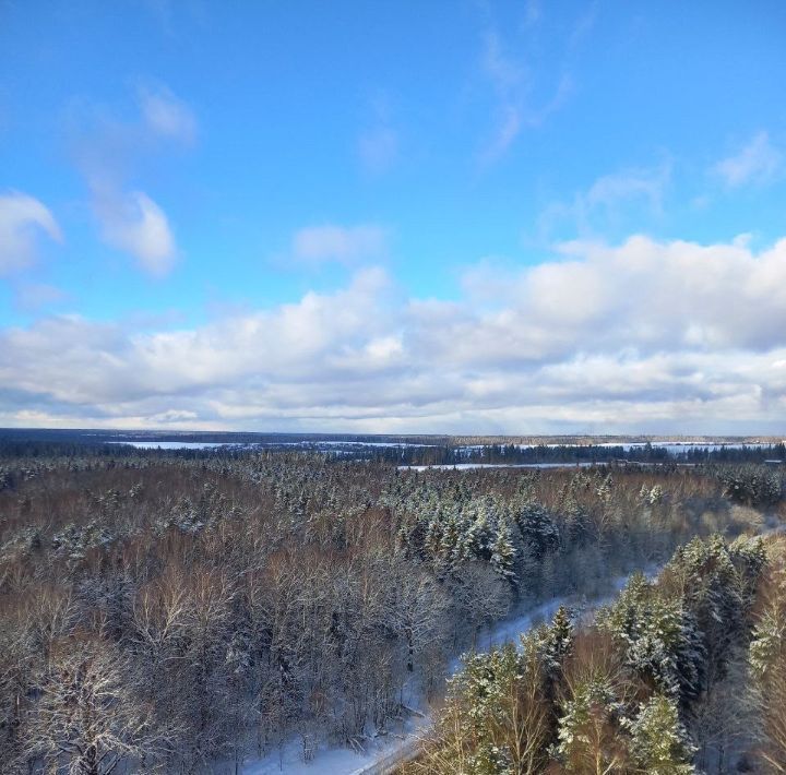 квартира городской округ Одинцовский г Звенигород ш Нахабинское 1к/1 ЖК «Лермонтовский (Звенигород)» фото 7