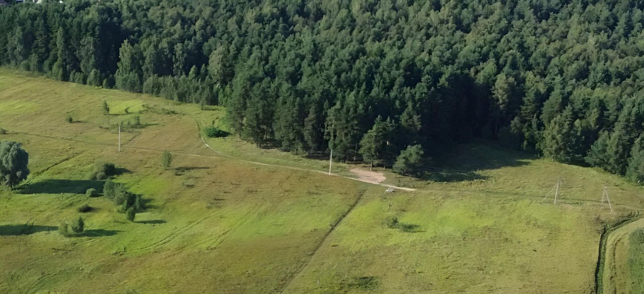 земля городской округ Богородский Богородск Форест кп фото 2