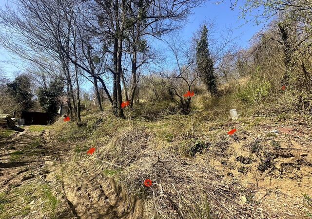 с Верхний Юрт садоводческое товарищество Спартак фото