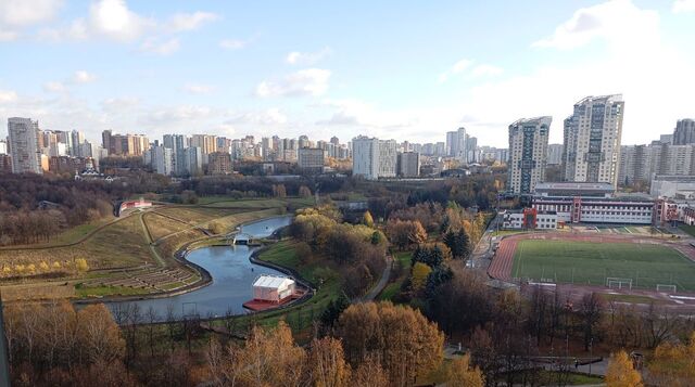 метро Мичуринский проспект пр-кт Мичуринский пр-кт Олимпийский 1к/1 деревня фото