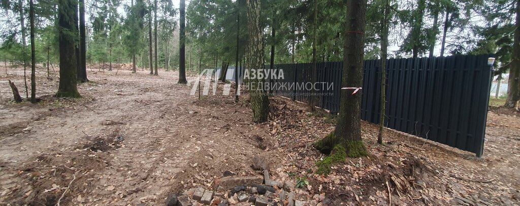 земля городской округ Наро-Фоминский д Селятино Апрелевка фото 2