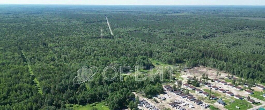 земля р-н Нижнетавдинский с Тюнево ул Центральная фото 4