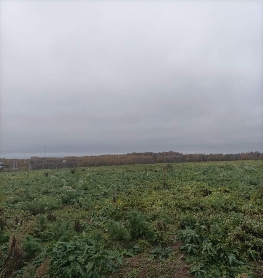 земля городской округ Дмитровский п Андрейково Андрейково парк микрорайон, Новорижское шоссе фото 7