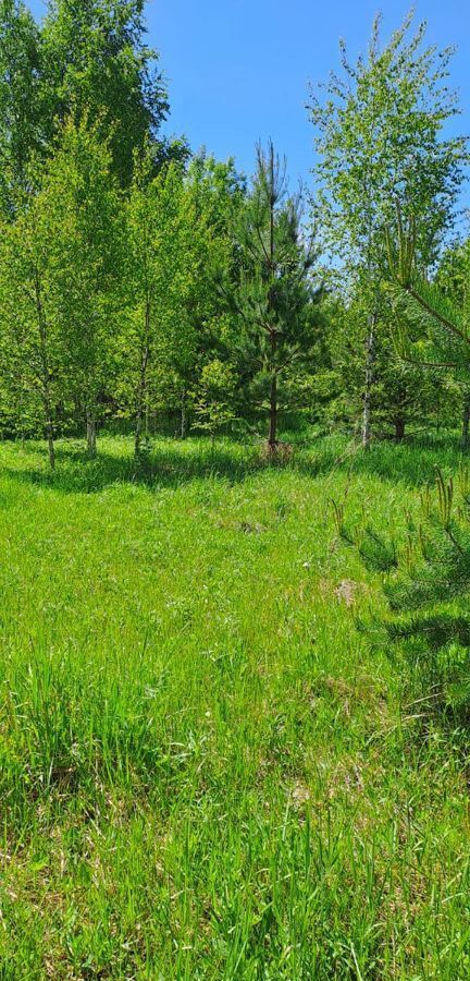 земля городской округ Раменский д Кузяево 9768 км, Речицы, Егорьевское шоссе фото 1