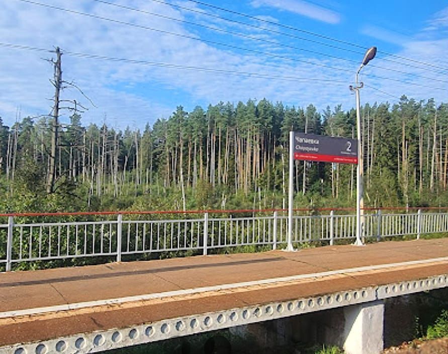 земля городской округ Одинцовский д Чапаевка снт Поречье 49 км, 1, Старый Городок, Можайское шоссе фото 4