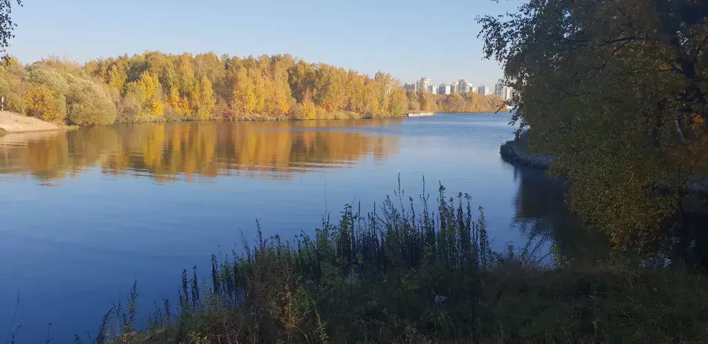 дом г Москва п Новобутаково метро Планерная 45, Московская область фото 88