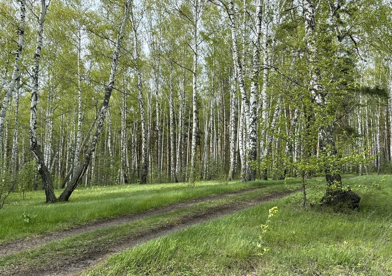 земля р-н Чебаркульский д Сарафаново ул Мичурина 86 Сарафановское сельское поселение, Чебаркуль фото 8