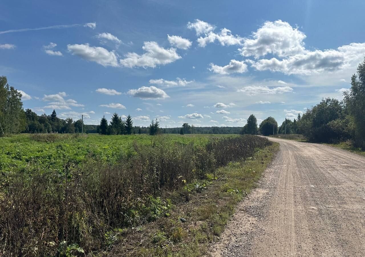 земля городской округ Клин д Елгозино 77 км, г. о. Клин, Высоковск, Ленинградское шоссе фото 8