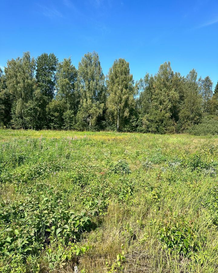 земля городской округ Клин д Елгозино 77 км, г. о. Клин, Высоковск, Ленинградское шоссе фото 34