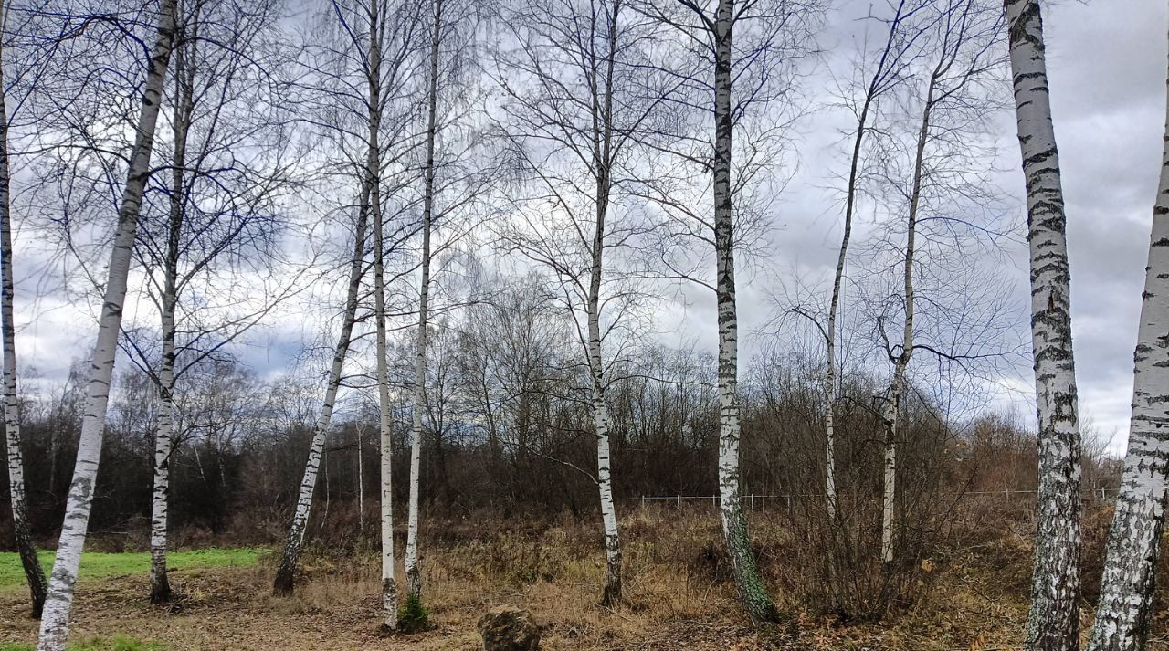 земля городской округ Чехов д Хлевино ул Заречная 5а фото 5