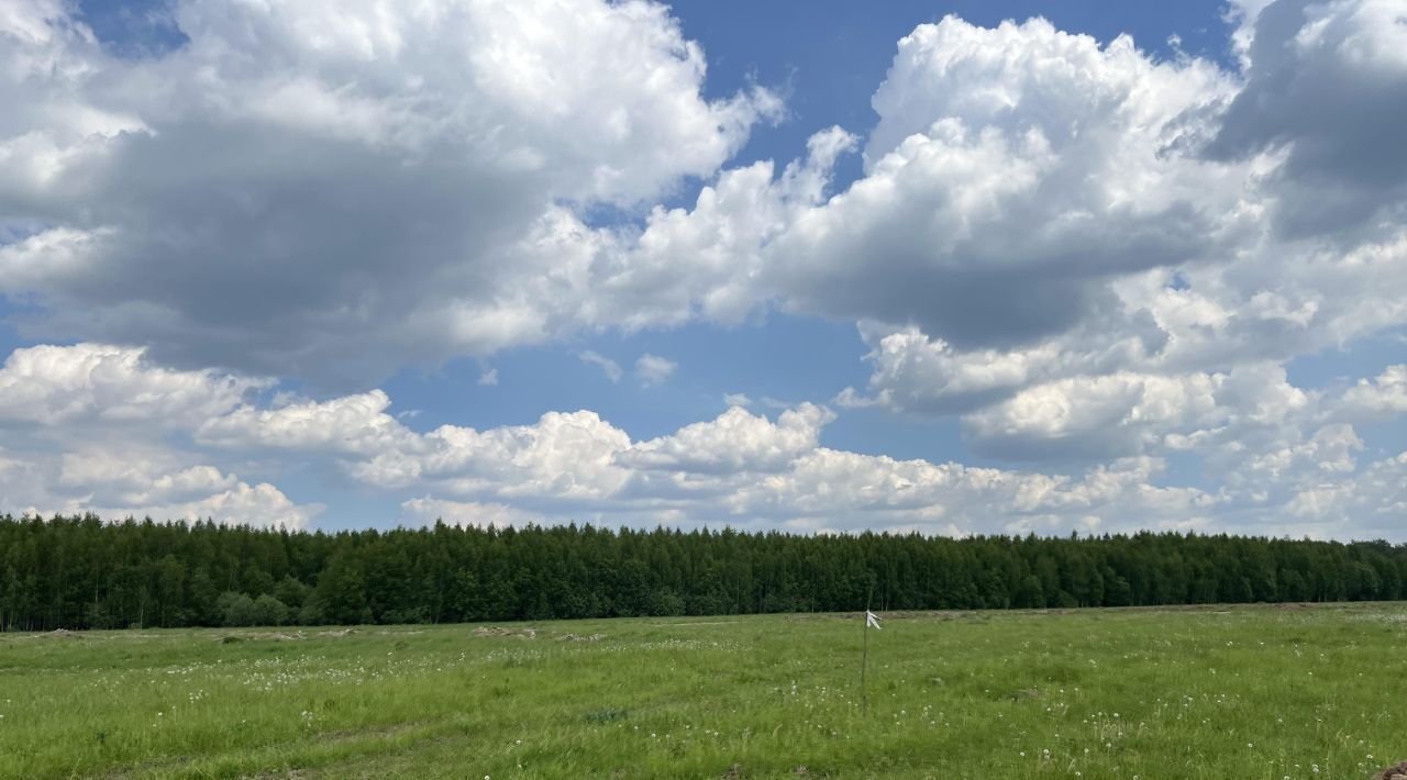 земля городской округ Раменский Оттепель кп, 27 фото 4