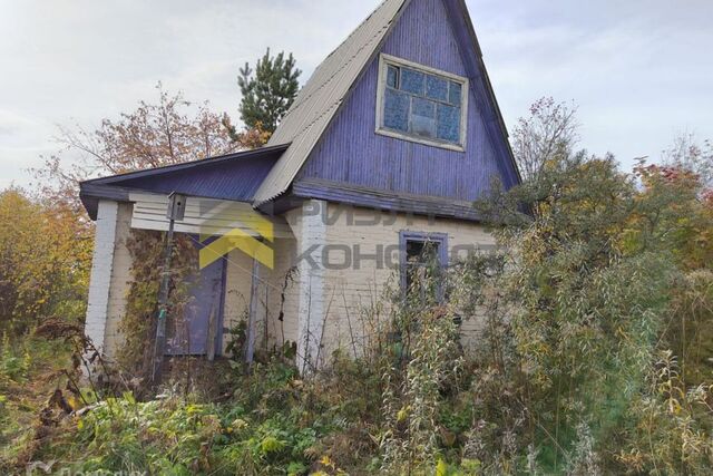 городской округ Омск, СТ Авангард-2 фото