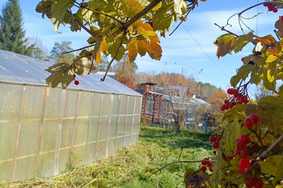 земля г Екатеринбург снт Бытовик Екатеринбург городской округ, 160 фото 2