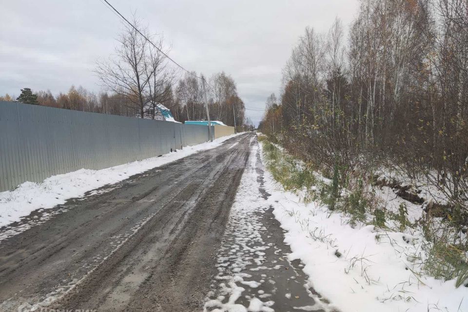 земля г Тюмень снт Липки Тюмень городской округ, Берёзовая улица фото 1