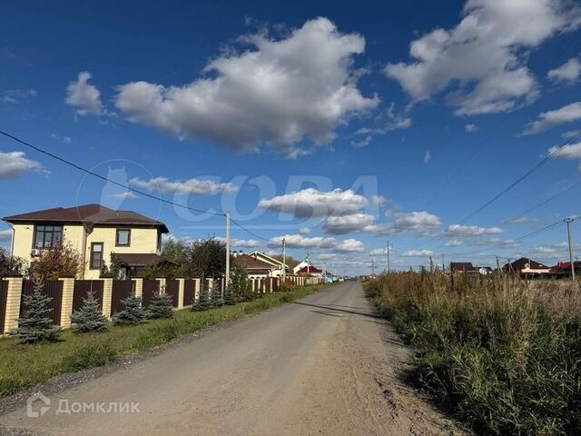 Луговое фото